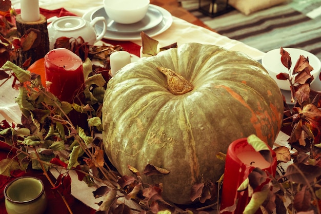 Beautiful autumn table decor with green pumpkin