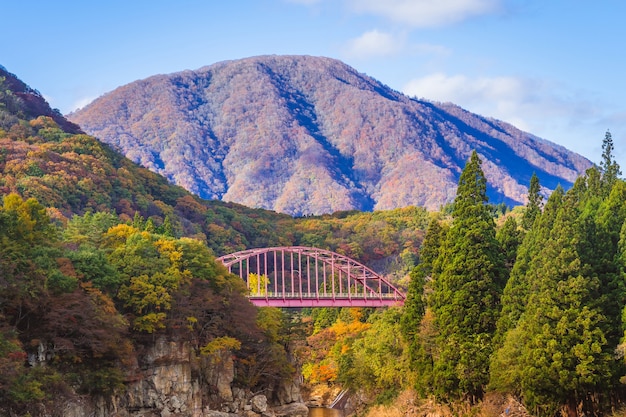 Beautiful autumn at Tonohetsuri, Aizuwakamatsu, Japan