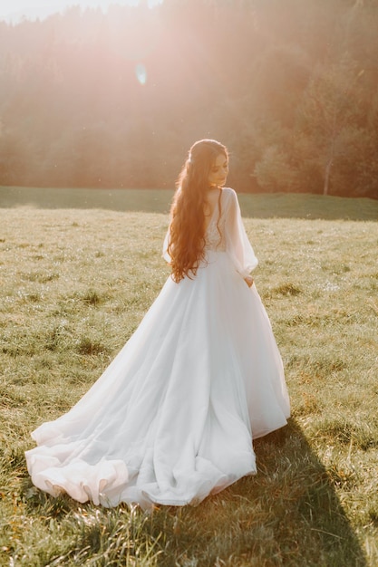 Beautiful back of the bride in a wedding dress on the field at the sunset