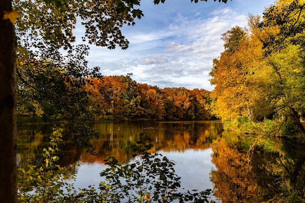 Beautiful background autumn landscape with trees and lake