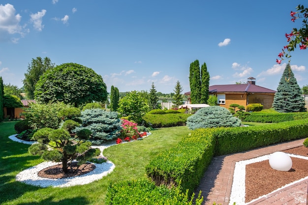 Beautiful backyard garden with nicely trimmed trees, bushes and stones. Landscape design. High quality photo