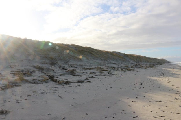 Beautiful Baltic Sea Coastline and Blue Sky