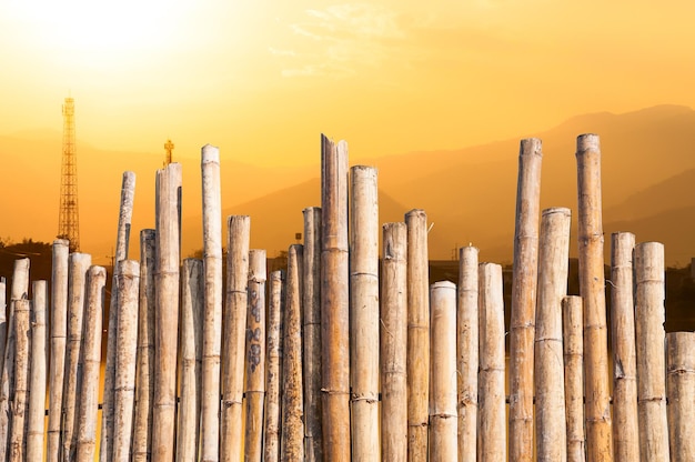 Beautiful Bamboo Fence with Sunset in misty with electricity lines in background