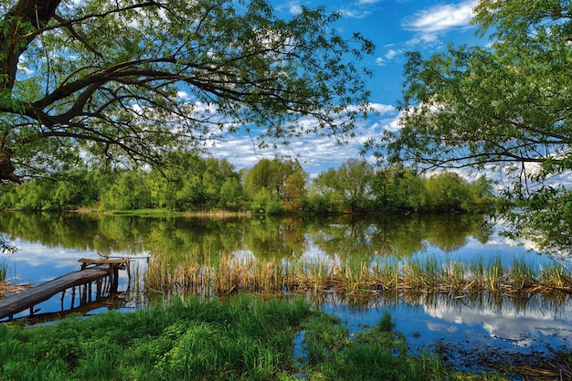 Beautiful bank of the spring river during the day, blue sky, green grass, flowering trees