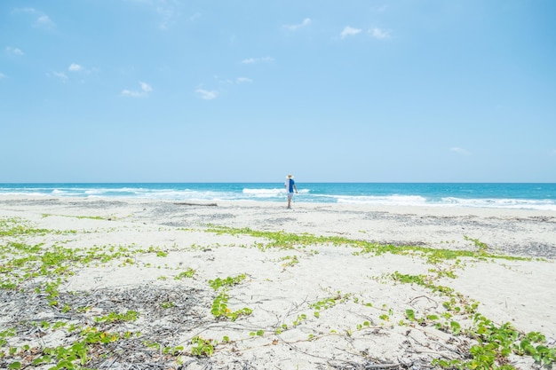 Beautiful beach area in Tayrona national park Colombia