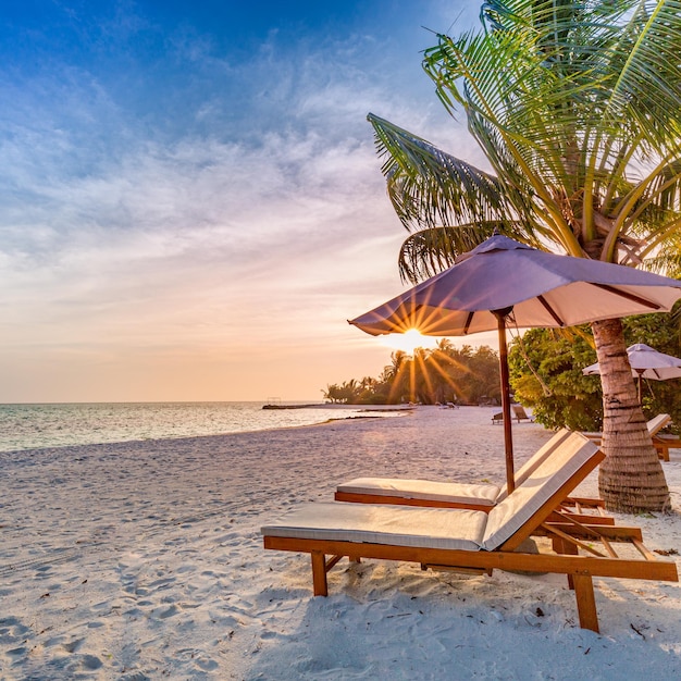 Beautiful beach. Chairs on the sandy beach near the sea. Summer holiday and vacation concept