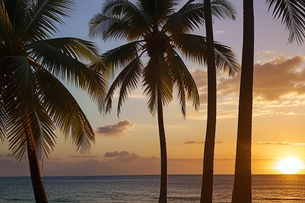 Beautiful beach scene with palm tree leaves