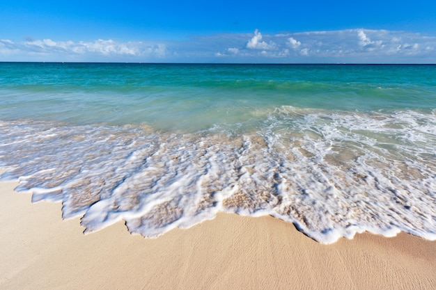 Beautiful beach and sea