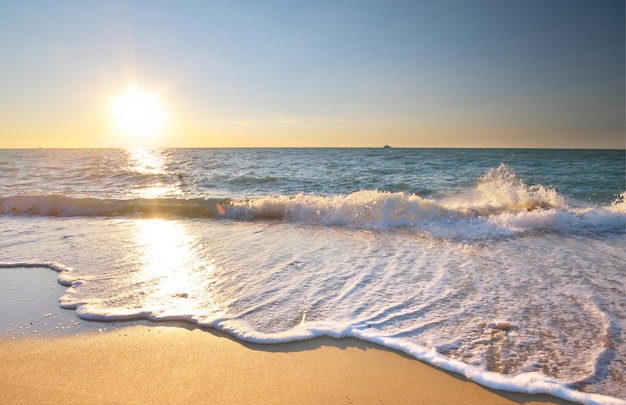 Beautiful beach shore seascape