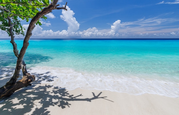 Beautiful beach Similan Islands Andaman Sea, Phang Nga, Phuket, Thailand