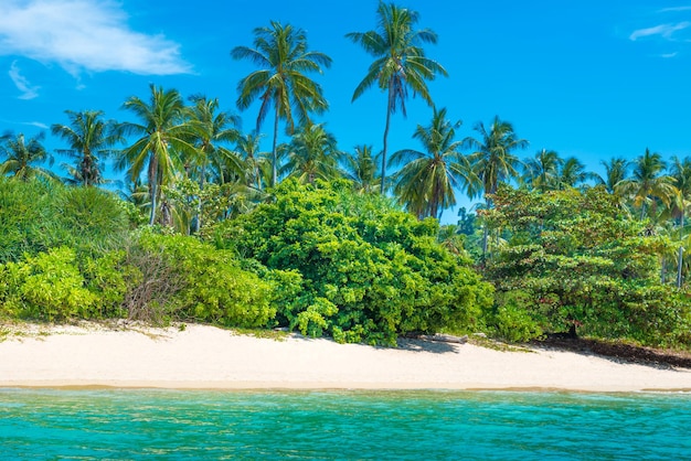 Beautiful beach at tropical island with palm trees white sand and blue sea