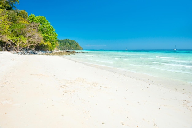 Beautiful beach at tropical island with white sand and green trees