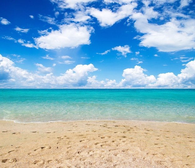 Beautiful beach and tropical sea