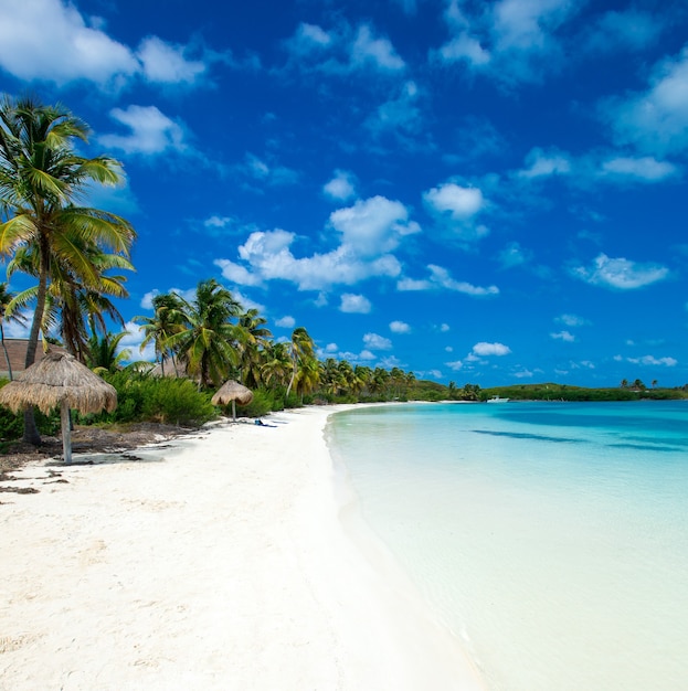 Beautiful beach and tropical sea