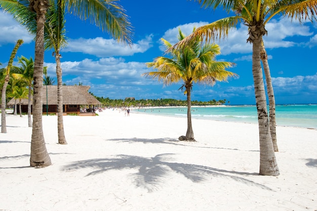 Beautiful beach and tropical sea