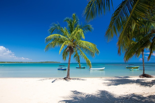 Beautiful beach and tropical sea