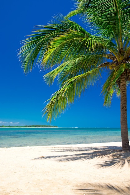 Beautiful beach and tropical sea