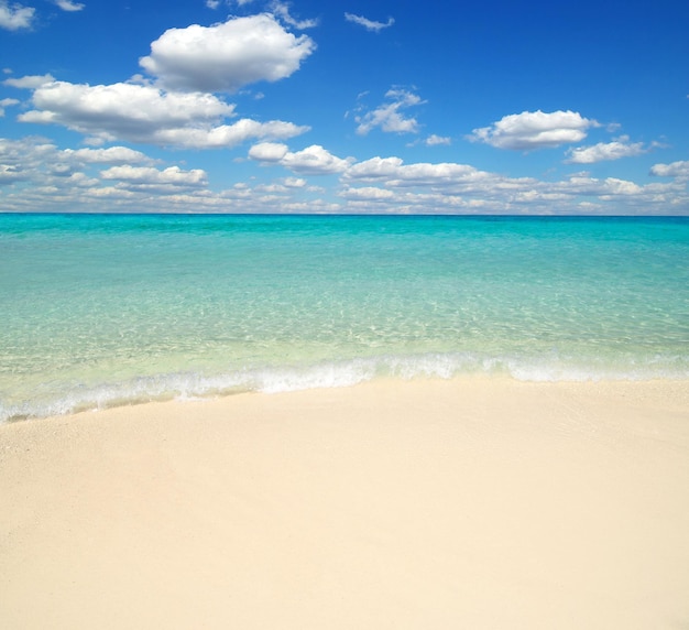 Beautiful beach and tropical sea