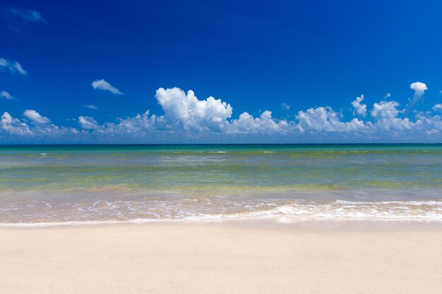 Beautiful beach and tropical sea