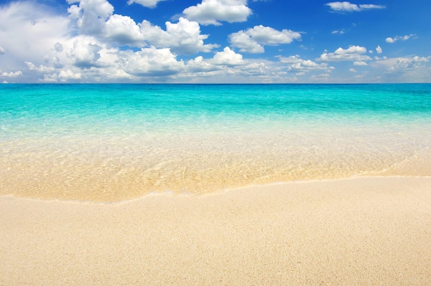 Beautiful beach and tropical sea