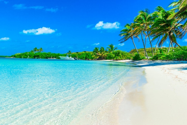 Beautiful beach and tropical sea