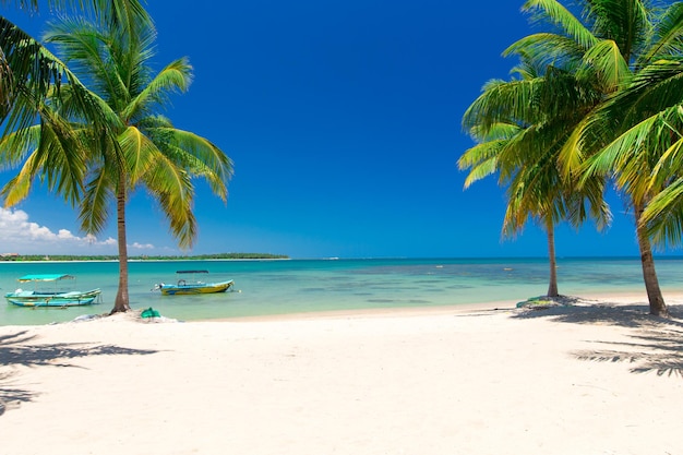 Beautiful beach and tropical sea