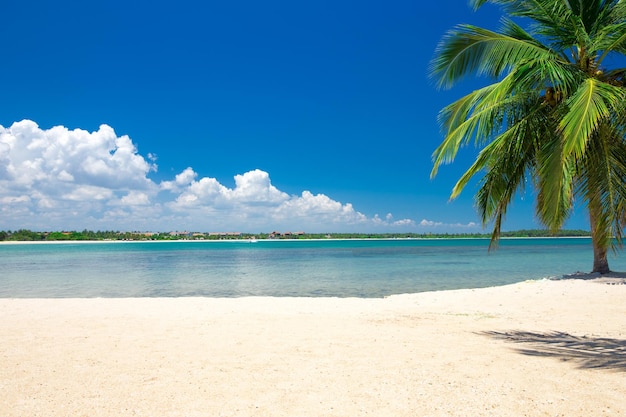 Beautiful beach and tropical sea