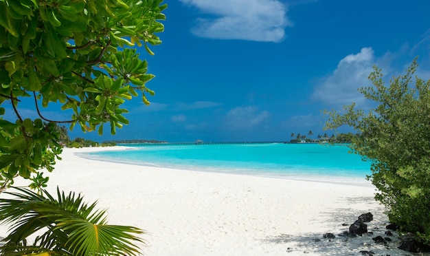 Beautiful beach and tropical sea