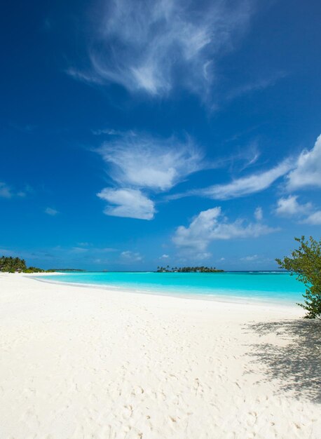 Beautiful beach and tropical sea