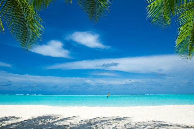 Beautiful beach and tropical sea