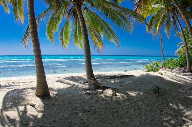 Beautiful beach and tropical seaxA