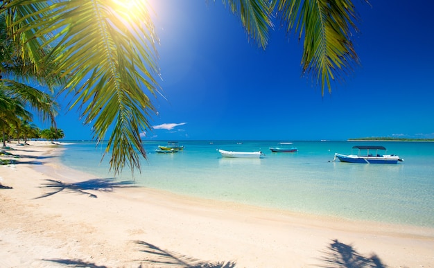 Beautiful beach. View of nice tropical beach with palms around. Holiday and vacation concept.