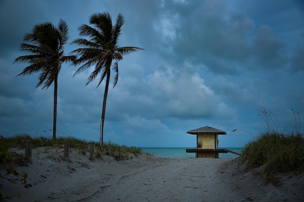 Beautiful beach view small lifeguard house palm trees and ocean on late evening light