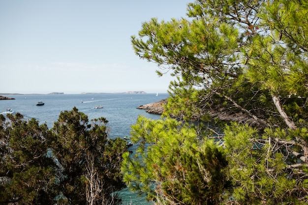 Beautiful beach with very clean and azure water on the mediterranean sea in the island of Ibiza