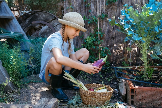 Beautiful blonde girl harvesting organic vegetables at farm