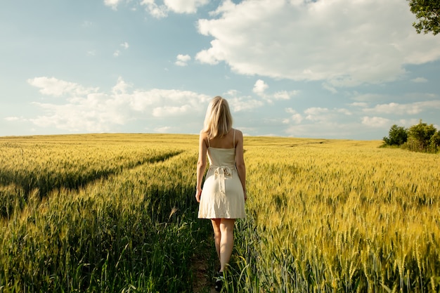 Beautiful blonde woman in wheat field in sunset time