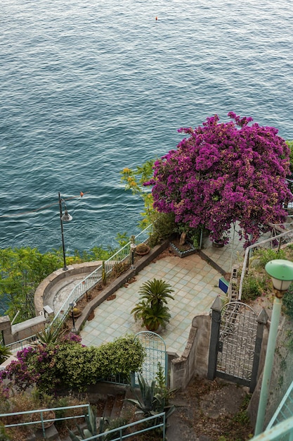 Beautiful blooming Italian courtyard at a seaside villa