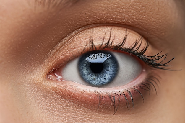 Beautiful blue eye with long eyelashes. Female eye close up