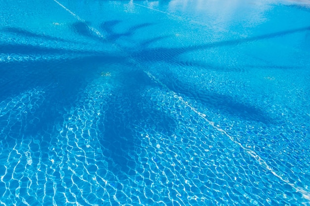 Beautiful blue swimming pool with water and palm tree shadow Summer holidays on the island Sunny day