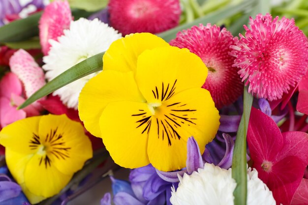 Beautiful bouquet of bright flowers close up