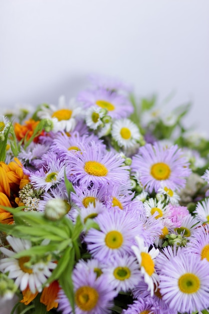 Beautiful bouquet of bright wildflowers Spring colorful flowers on a light background closeup