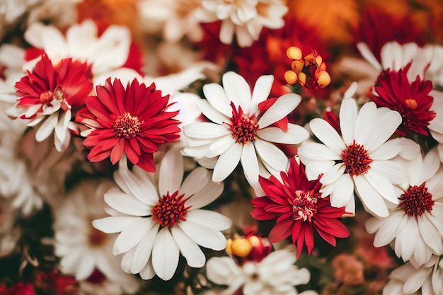 Beautiful bouquet closeup soft spring or summer floral background