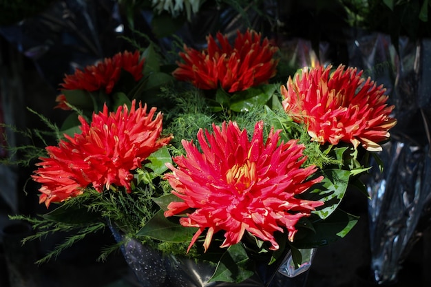 Beautiful bouquet of flowers