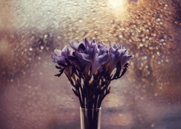 Beautiful bouquet of freesia on the background of the window