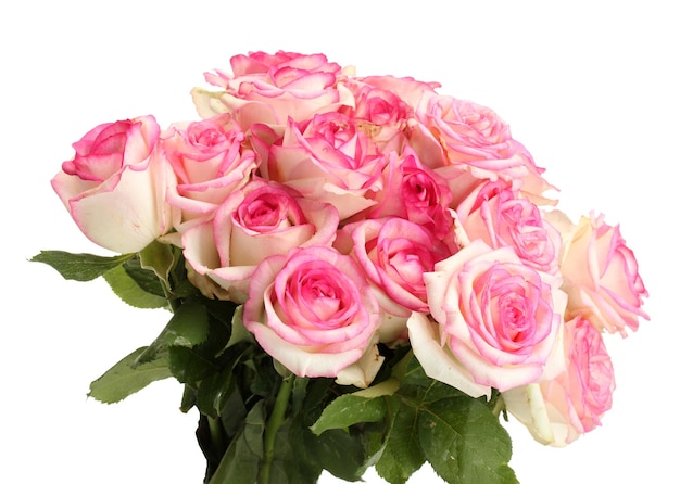 Beautiful bouquet of pink roses isolated on white