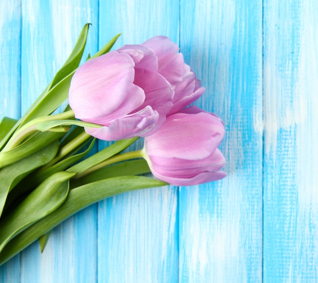 Beautiful bouquet of purple tulips on blue wooden background