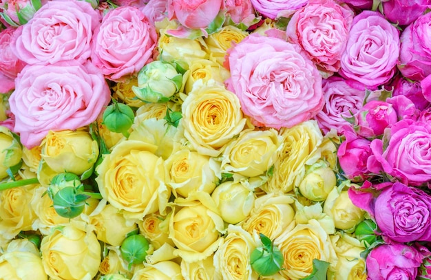 Beautiful bouquet of roses Beautiful floral colorful background