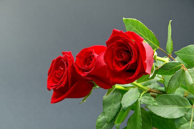 Beautiful bouquet of roses on grey background. The concept of st valentine's day, Mother's Day, March 8.