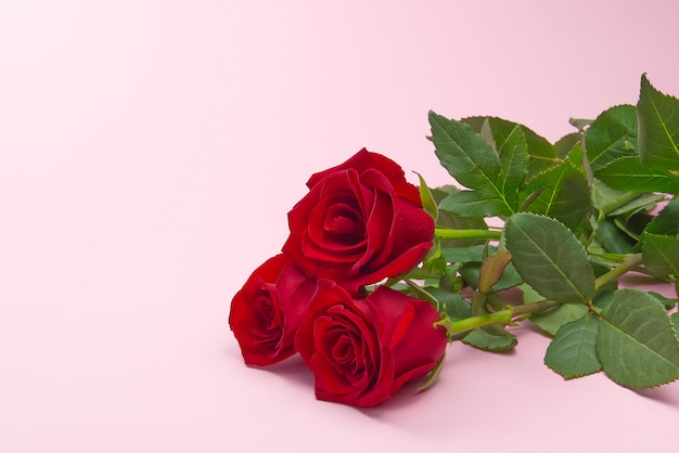 Beautiful bouquet of roses on pink background. The concept of st valentine's day, Mother's Day, March 8.