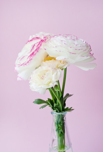 Beautiful bouquet of white ranunculus flowers isolated